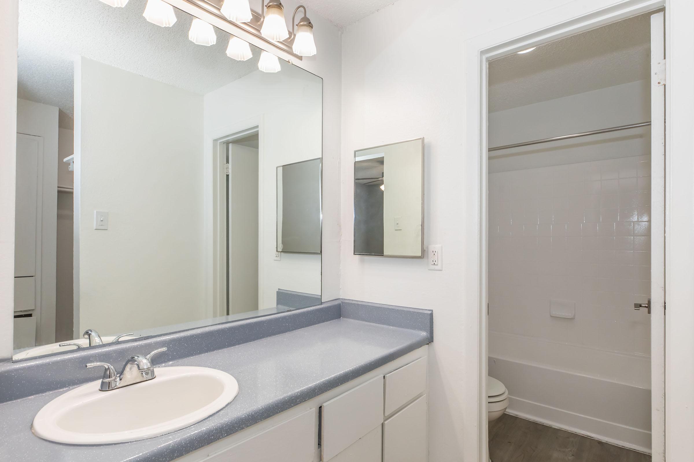 Baño completo con tocador doble en Providence at Domain