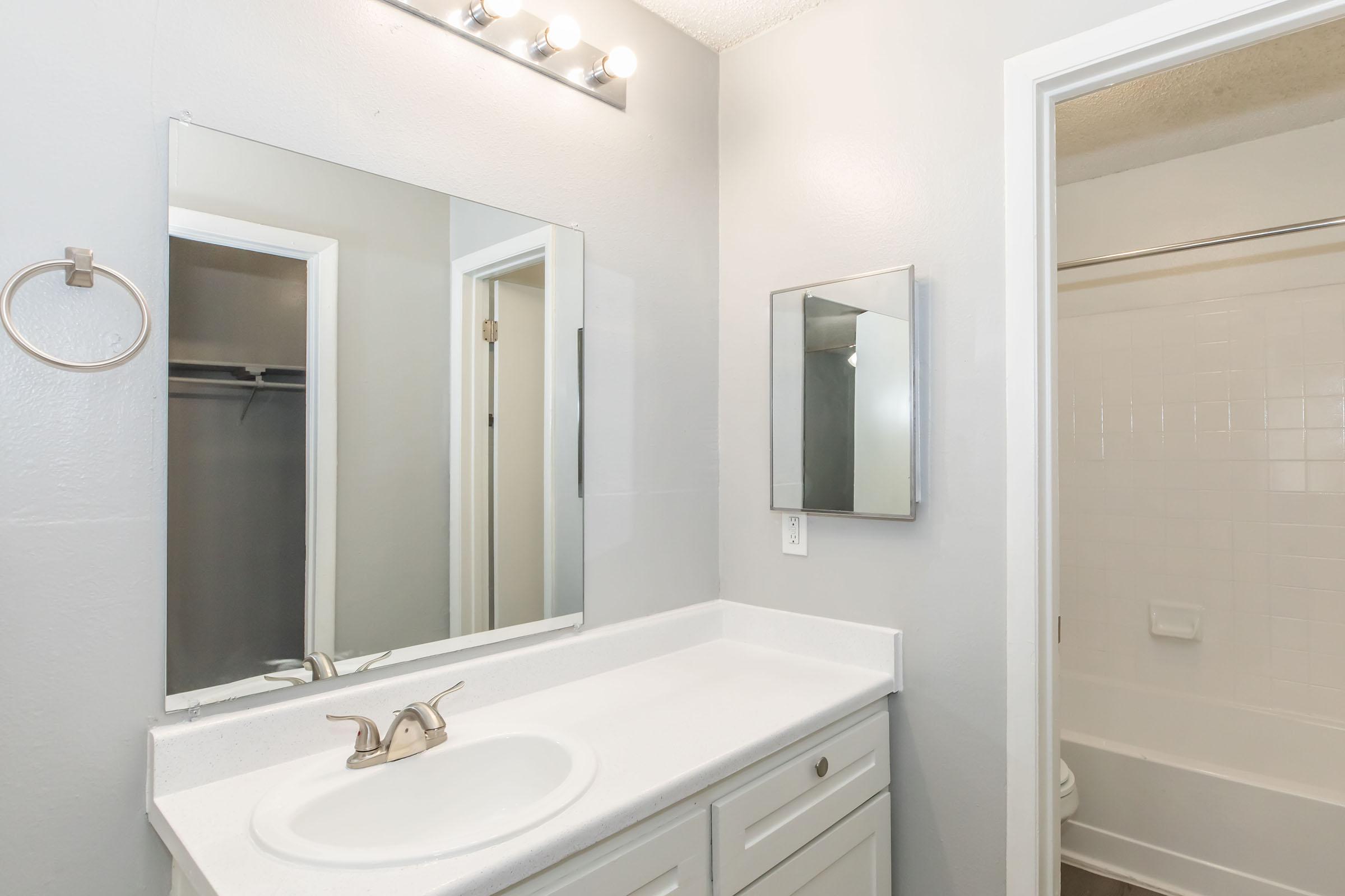 Baño principal con tocador y regadera independiente en Providence at Domain